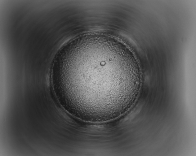 X0000093161409200710101145