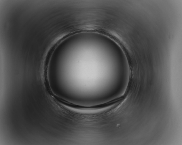 X0000093161410200710101145