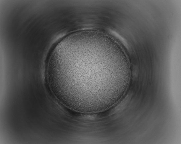 X0000093161411200710101145