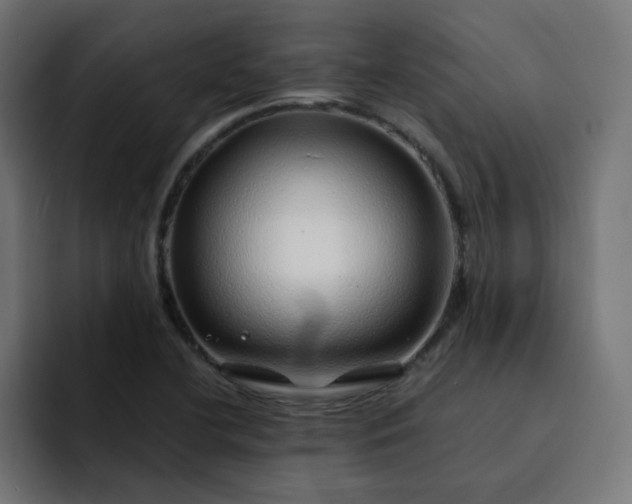 X0000093161412200710101146