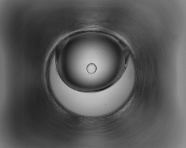 X0000093161414200710101146