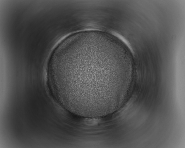 X0000093161415200710101146