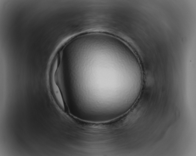 X0000093161416200710101146