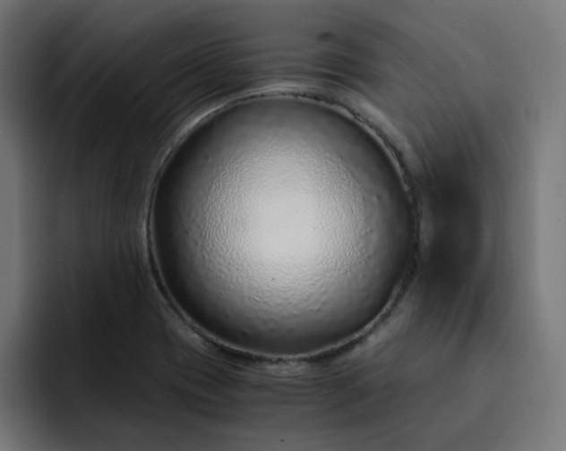 X0000093161417200710101146
