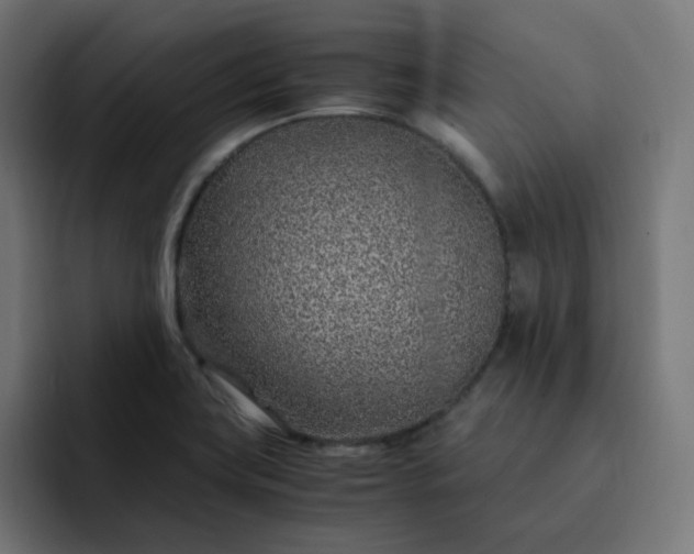 X0000093161419200710101146