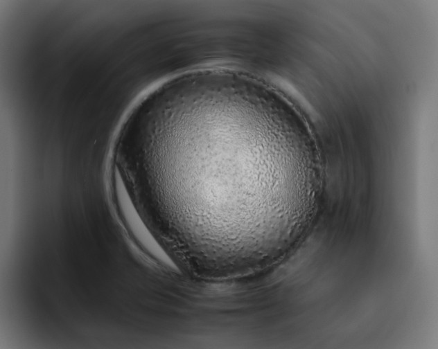 X0000093161421200710101146
