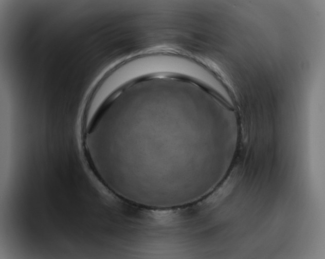 X0000093161422200710101146