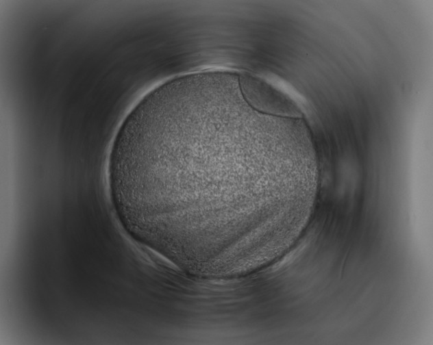 X0000093161423200710101146