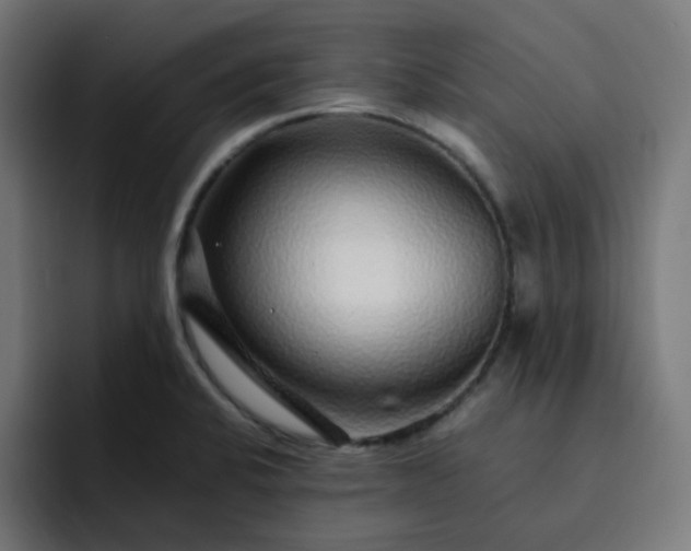X0000093161424200710101146