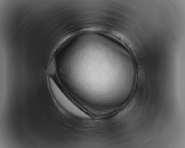 X0000093161425200710101146