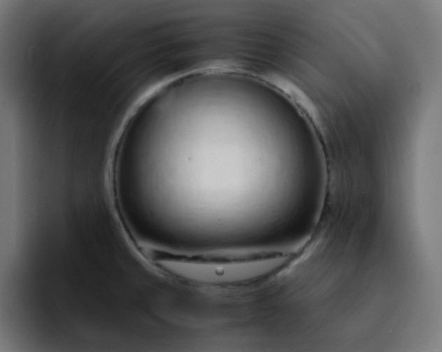 X0000093161429200710101146