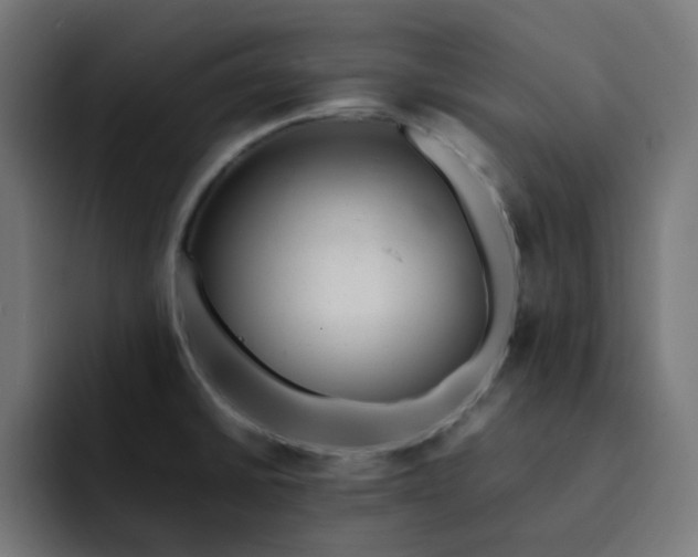 X0000093161430200710101146