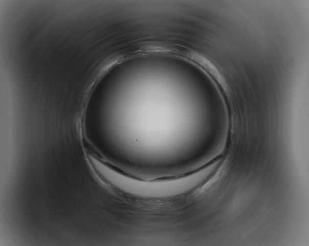 X0000093161433200710101146
