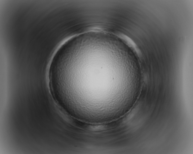 X0000093161435200710101146