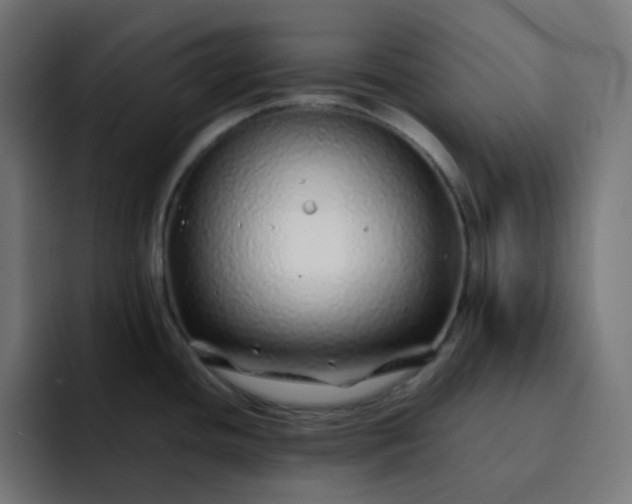 X0000093161436200710101146
