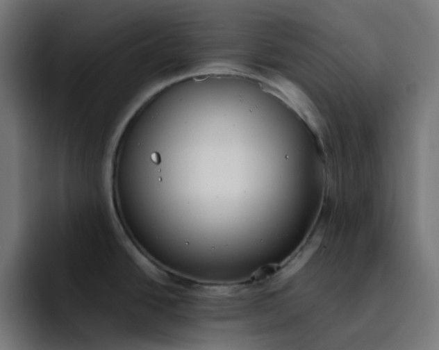 X0000093161438200710101146