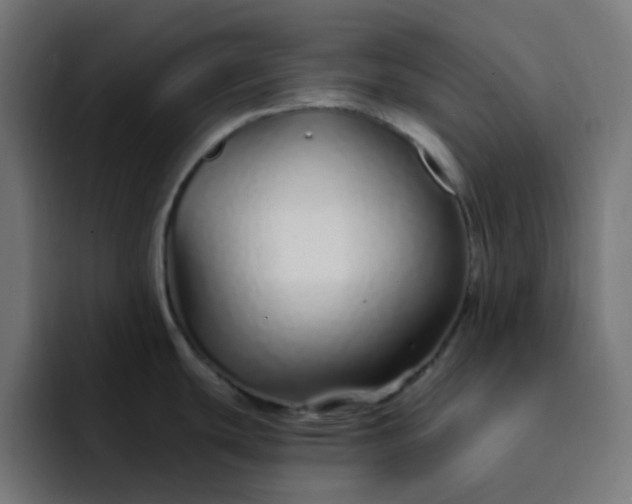 X0000093161439200710101146