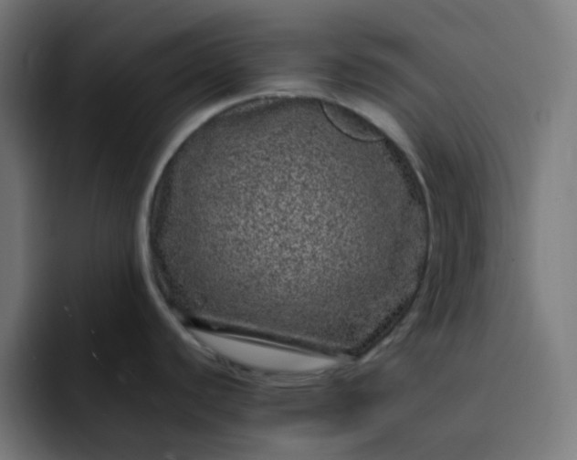 X0000093161440200710101146