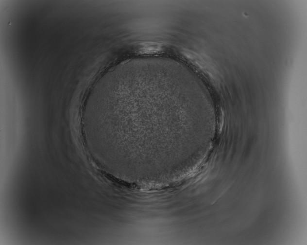 X0000093161441200710101145