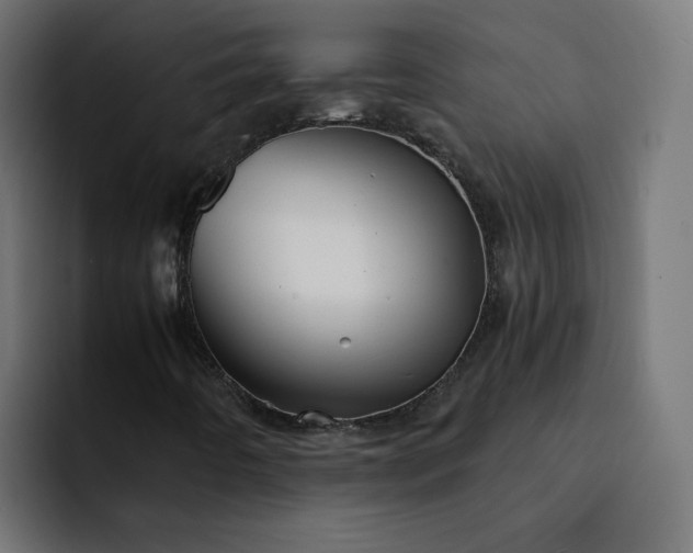 X0000093161442200710101145