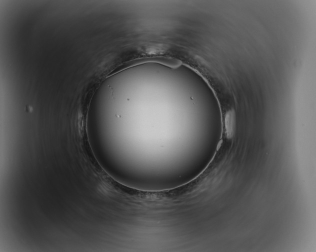 X0000093161443200710101145