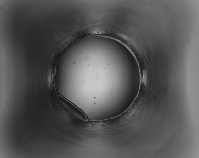 X0000093161444200710101145