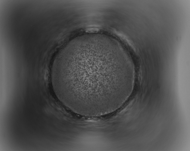 X0000093161445200710101145