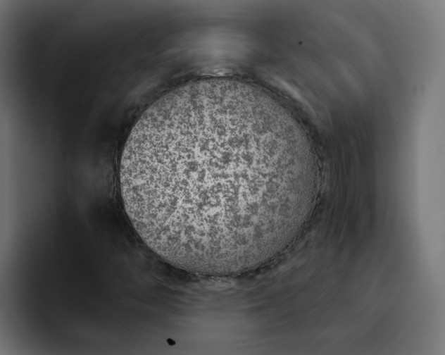 X0000093161446200710101145
