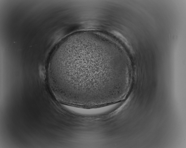 X0000093161449200710101145