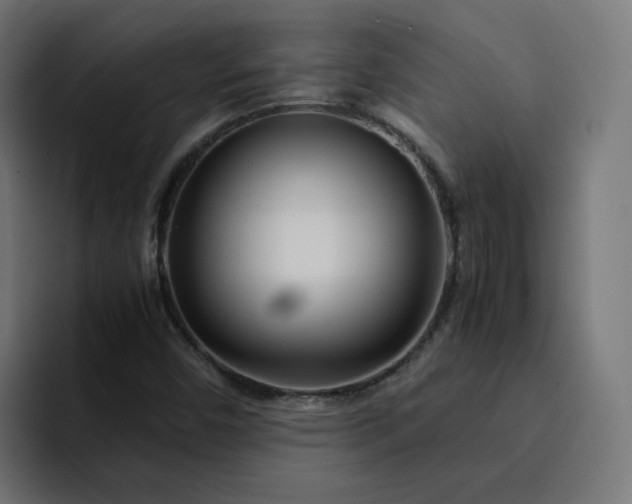X0000093161450200710101145