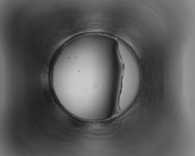 X0000093161452200710101145