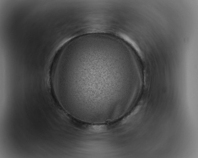 X0000093161453200710101145