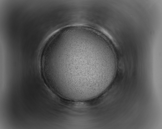 X0000093161456200710101145