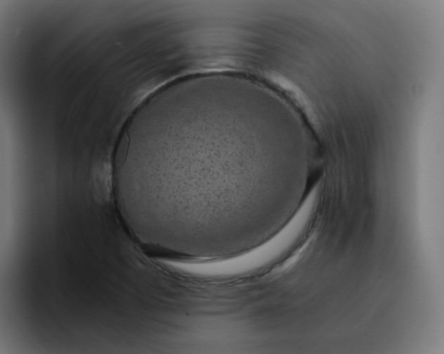 X0000093161457200710101145
