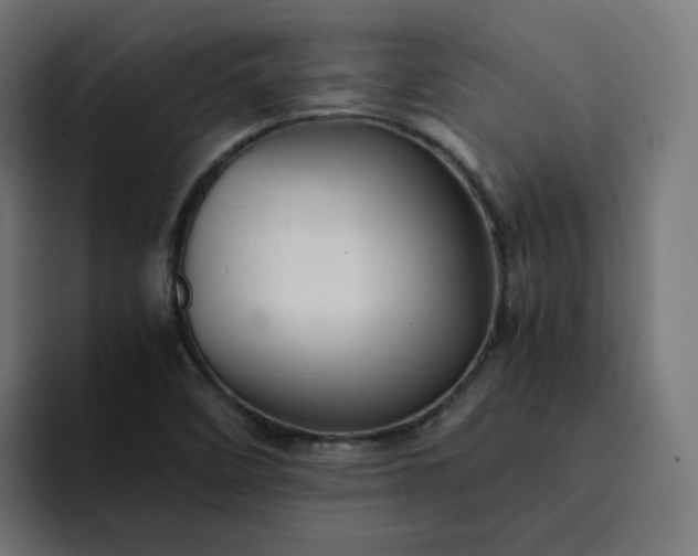 X0000093161458200710101145