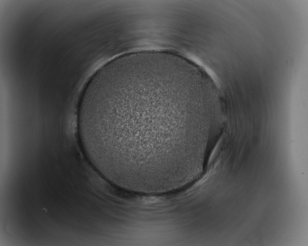 X0000093161459200710101145