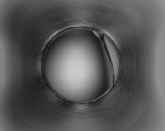 X0000093161460200710101145