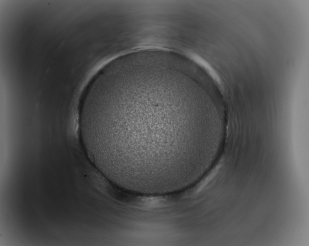 X0000093161461200710101145