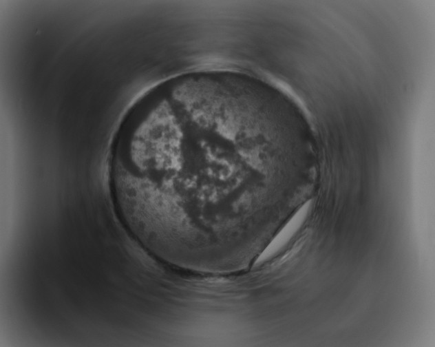 X0000093161463200710101145