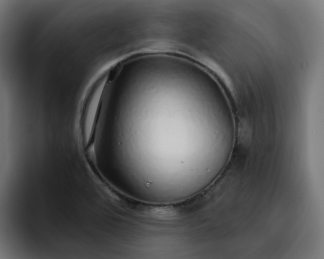 X0000093161464200710101145