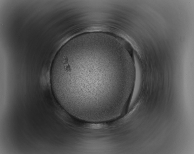 X0000093161465200710101145