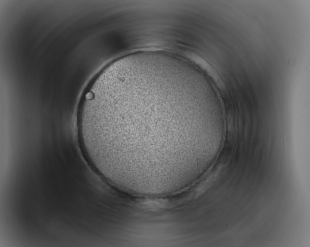 X0000093161466200710101145