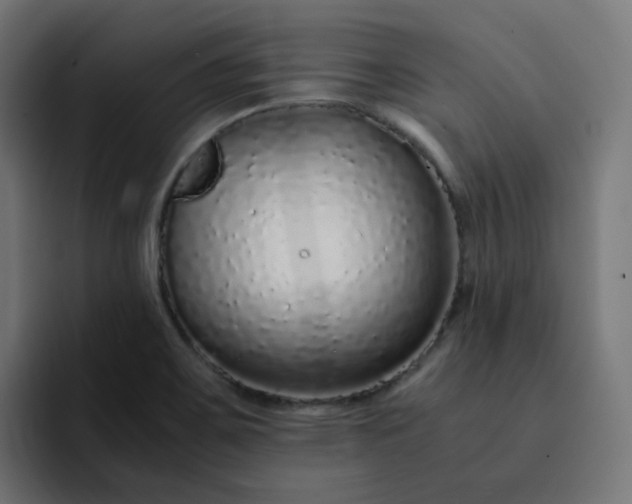 X0000093161467200710101145