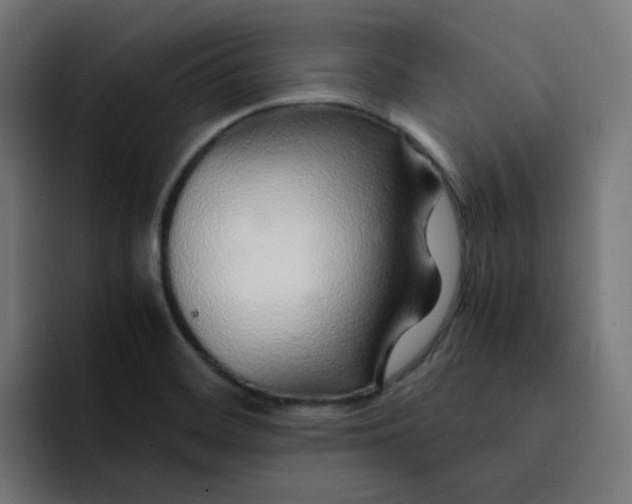X0000093161468200710101145