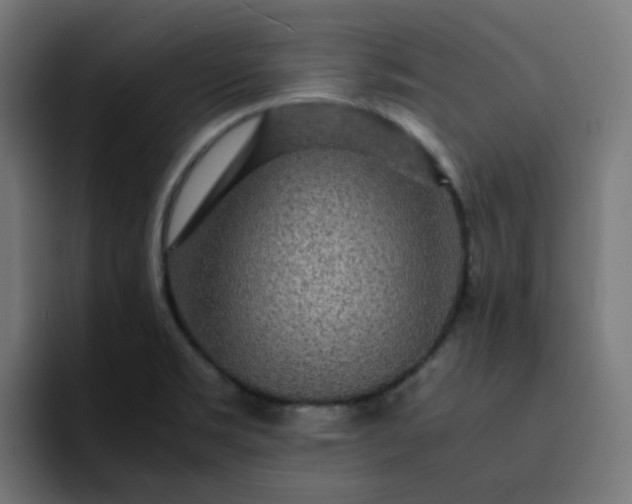 X0000093161469200710101145