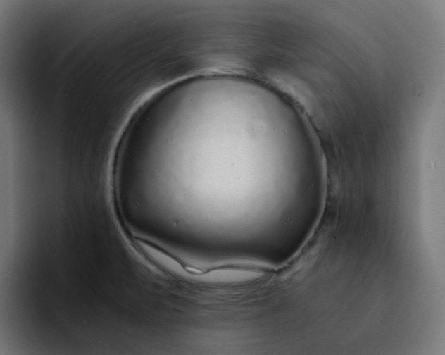 X0000093161471200710101145