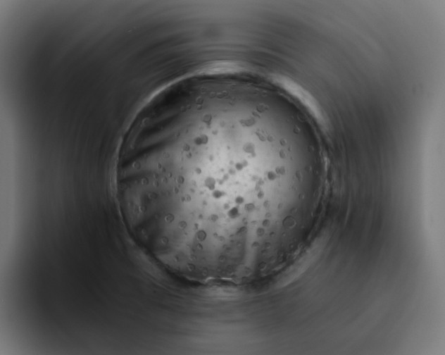 X0000093161473200710101145