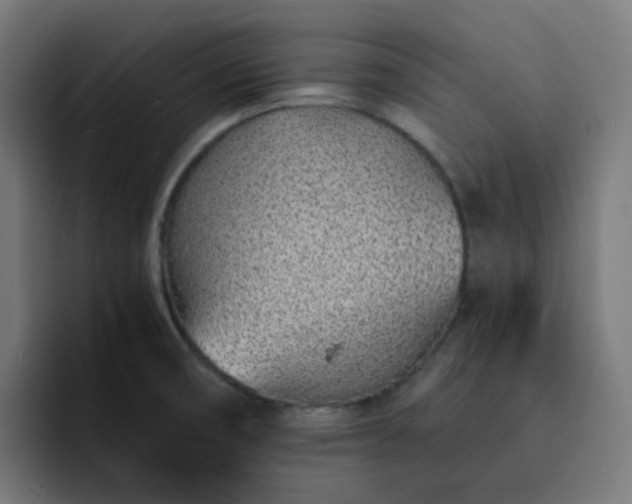 X0000093161474200710101145