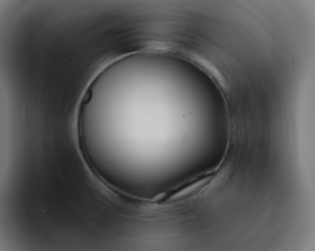 X0000093161475200710101145
