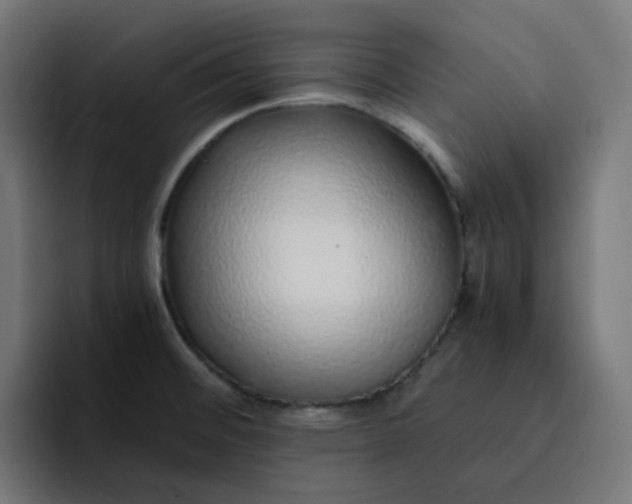 X0000093161476200710101145